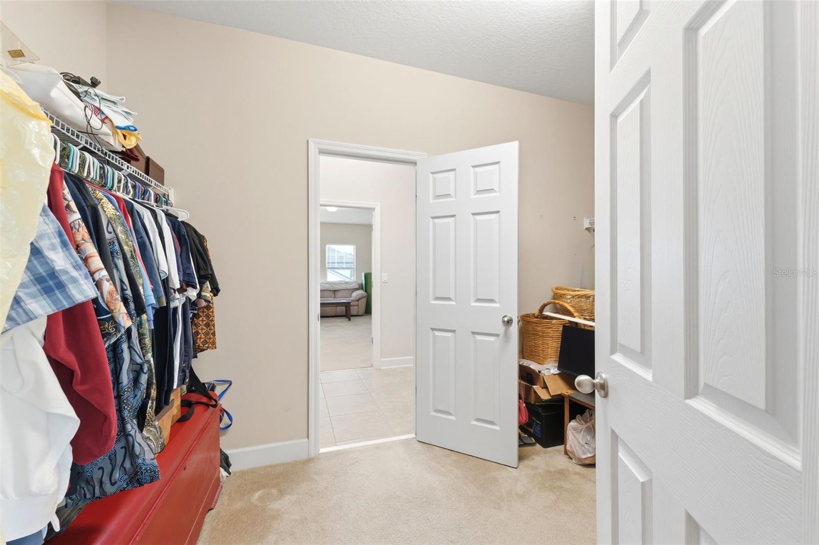 4924 BUTLER NATIONAL DR, WESLEY CHAPEL, FL — photo 26