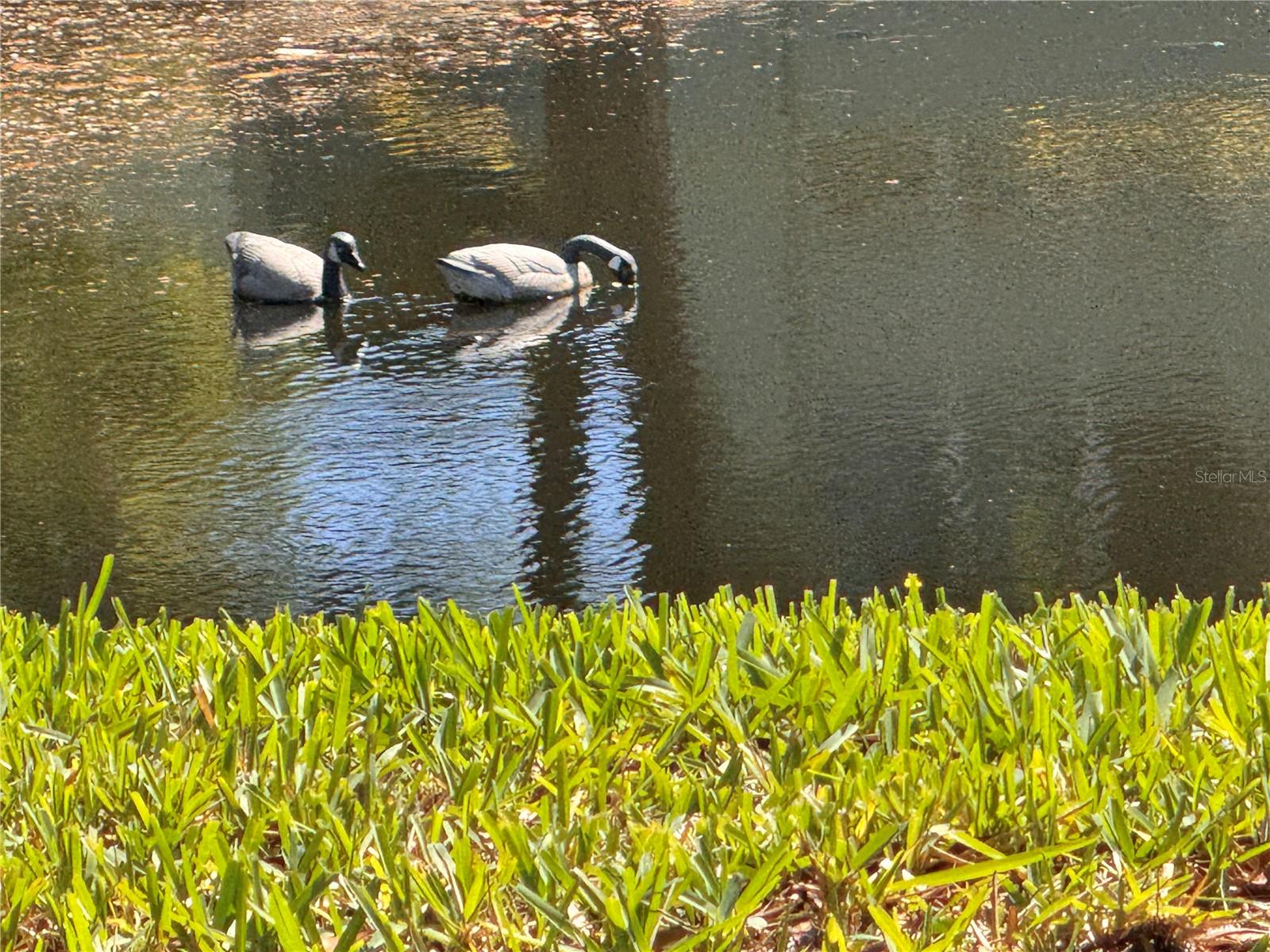 1250 S PINELLAS AVE #804, TARPON SPRINGS, FL — photo 46