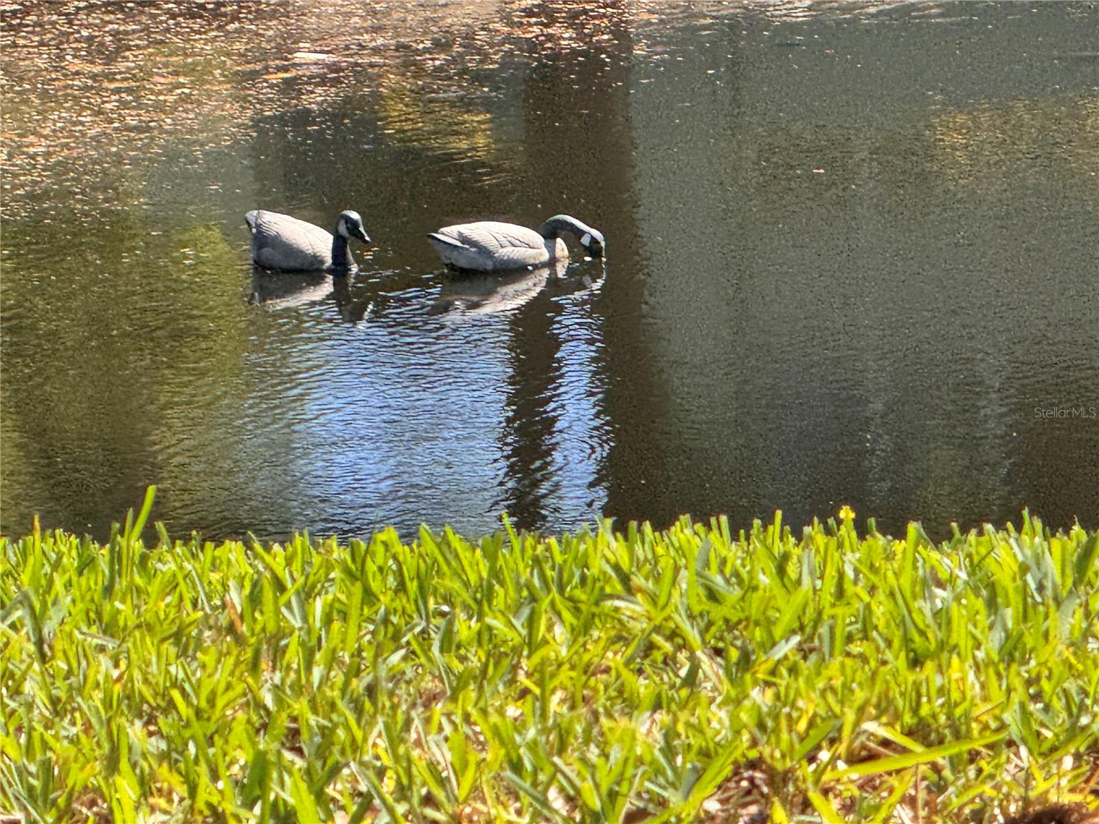 1250 S PINELLAS AVE #804, TARPON SPRINGS, FL — photo 47
