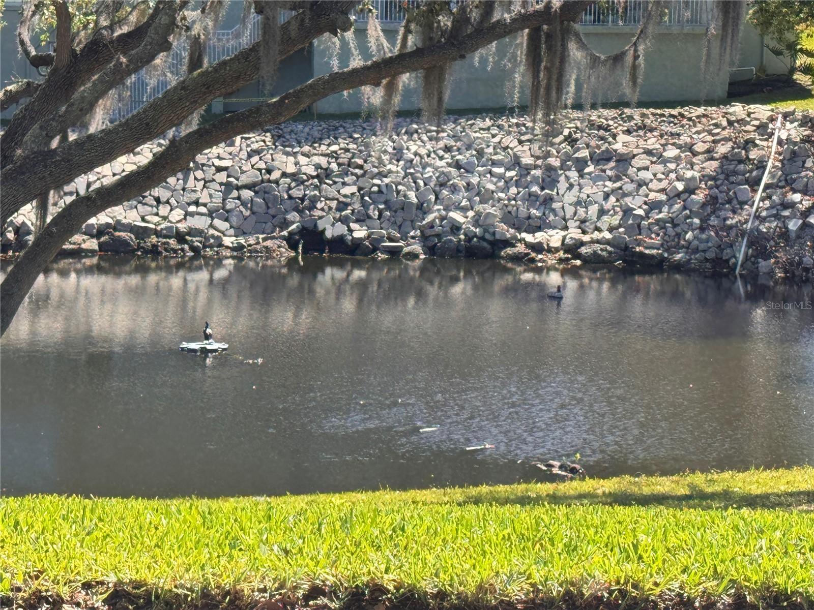 1250 S PINELLAS AVE #804, TARPON SPRINGS, FL — photo 50