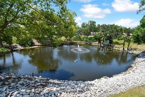1250 S PINELLAS AVE #804, TARPON SPRINGS, FL — photo 45