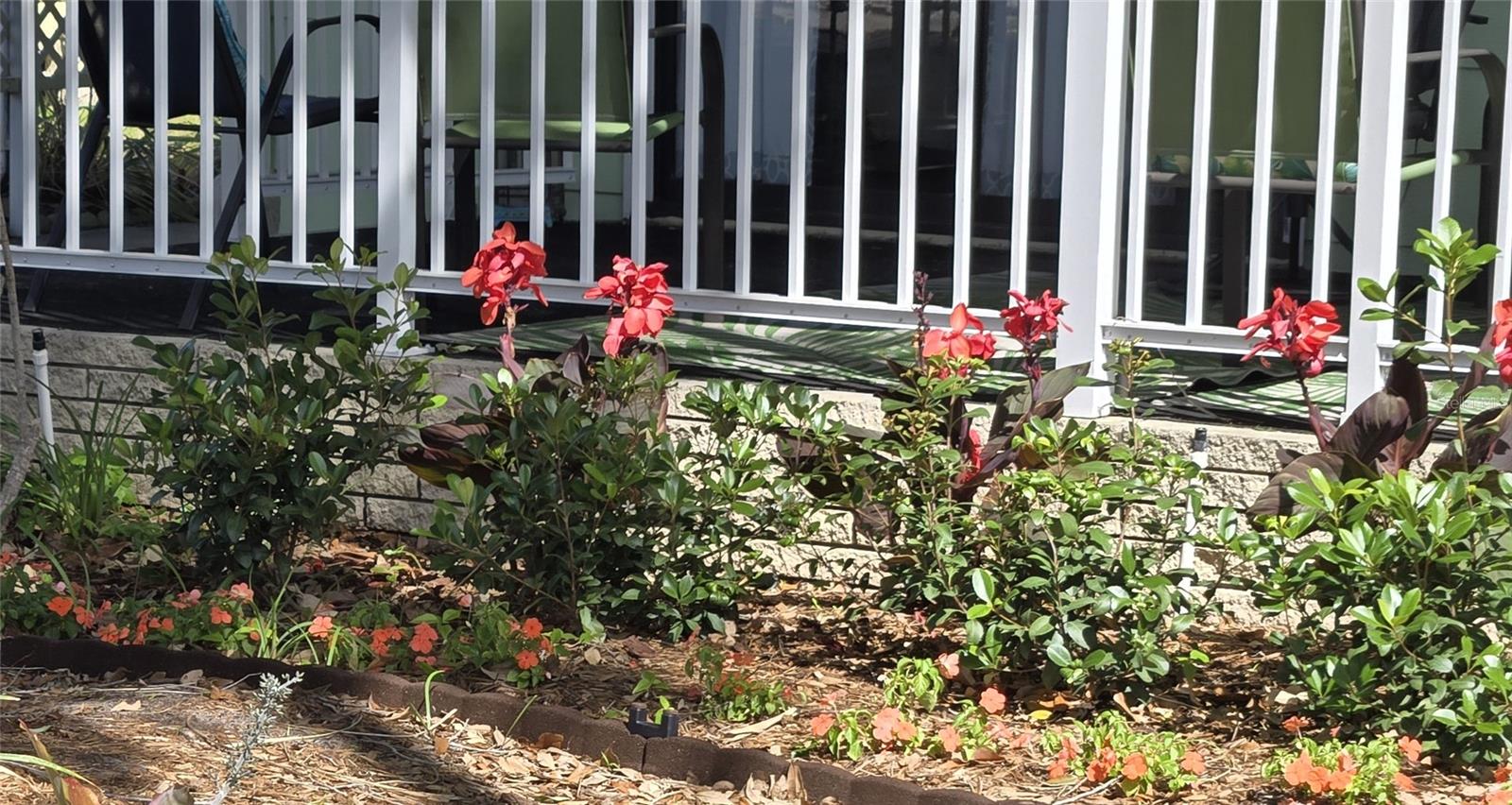 6309 GROVE POINTE DR SE, WINTER HAVEN, FL — photo 5