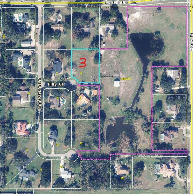 13125 FILLY CT, WINDERMERE, FL — photo 2