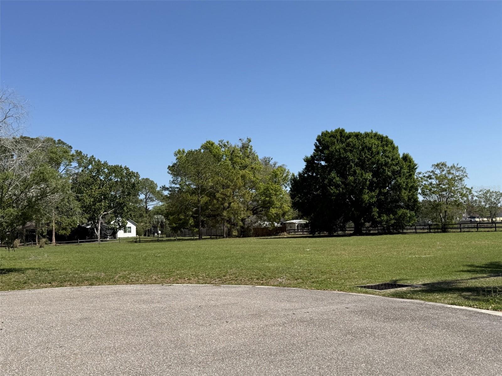 13125 FILLY CT, WINDERMERE, FL — photo 4