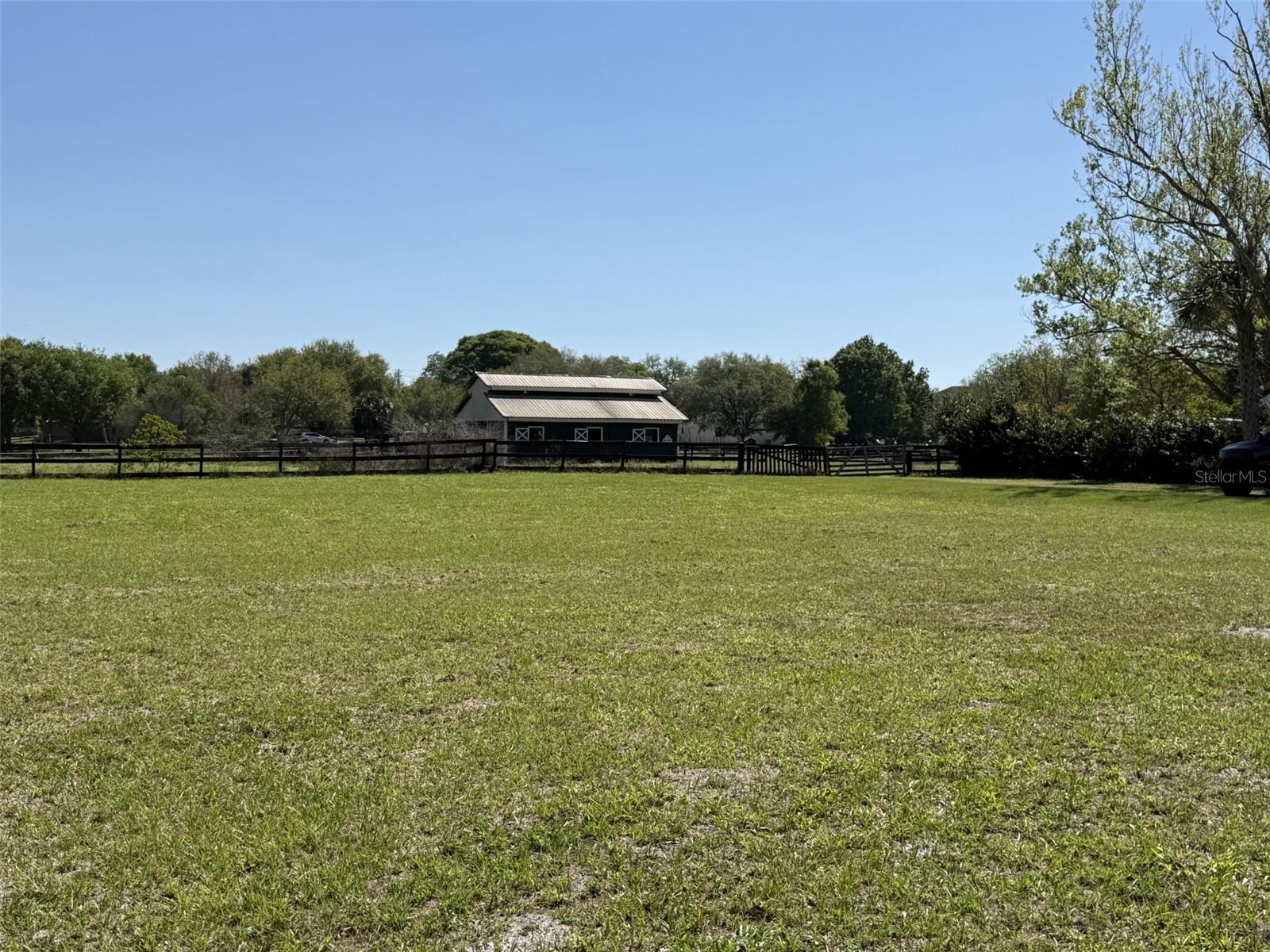 13125 FILLY CT, WINDERMERE, FL — photo 6