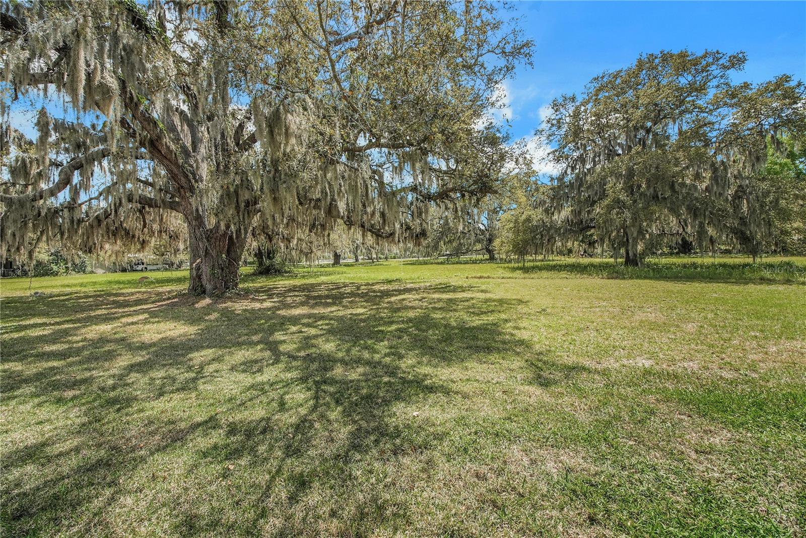 2218 ORKNEY DR, LEESBURG, FL — photo 15