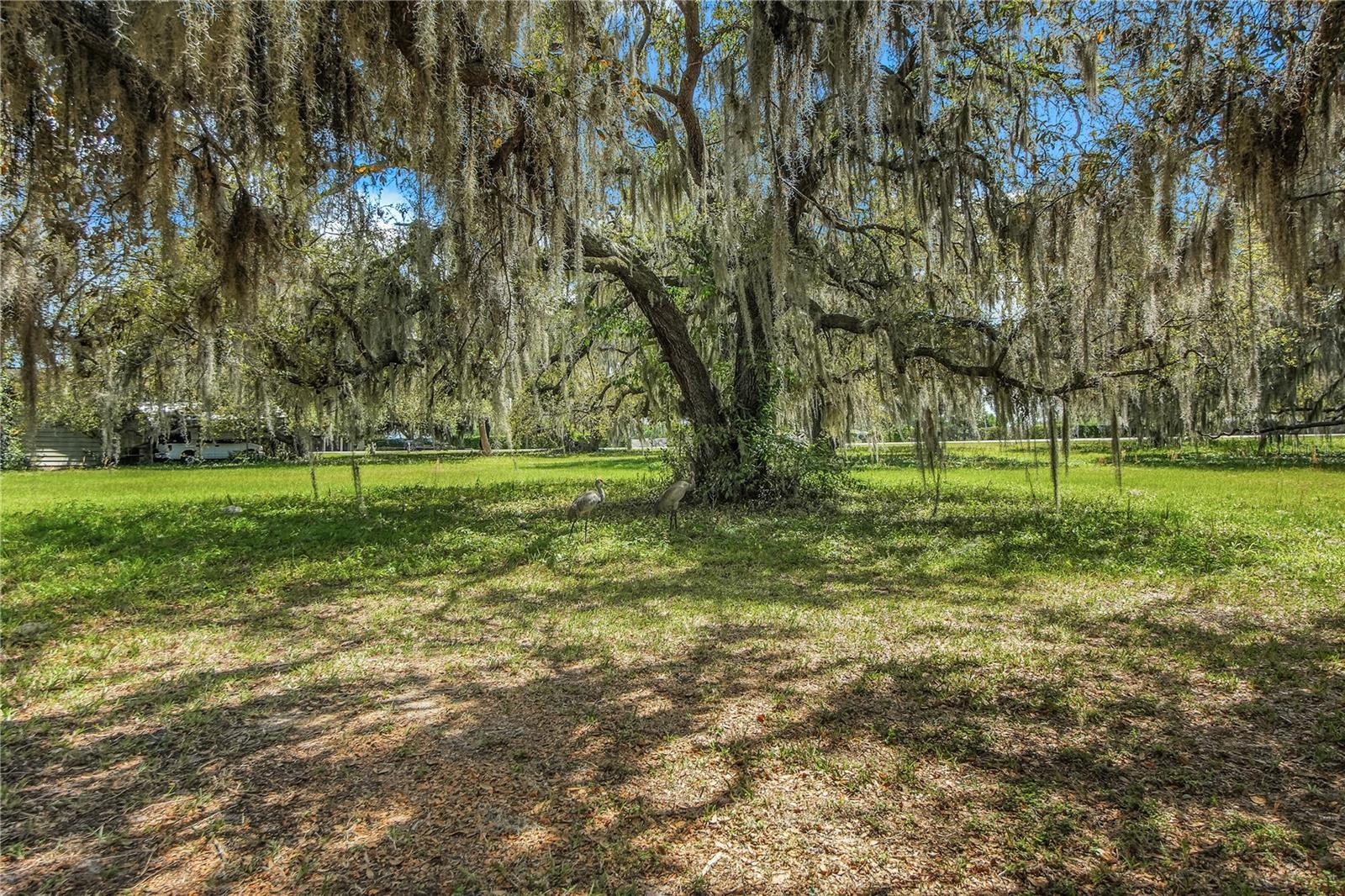 2218 ORKNEY DR, LEESBURG, FL — photo 17