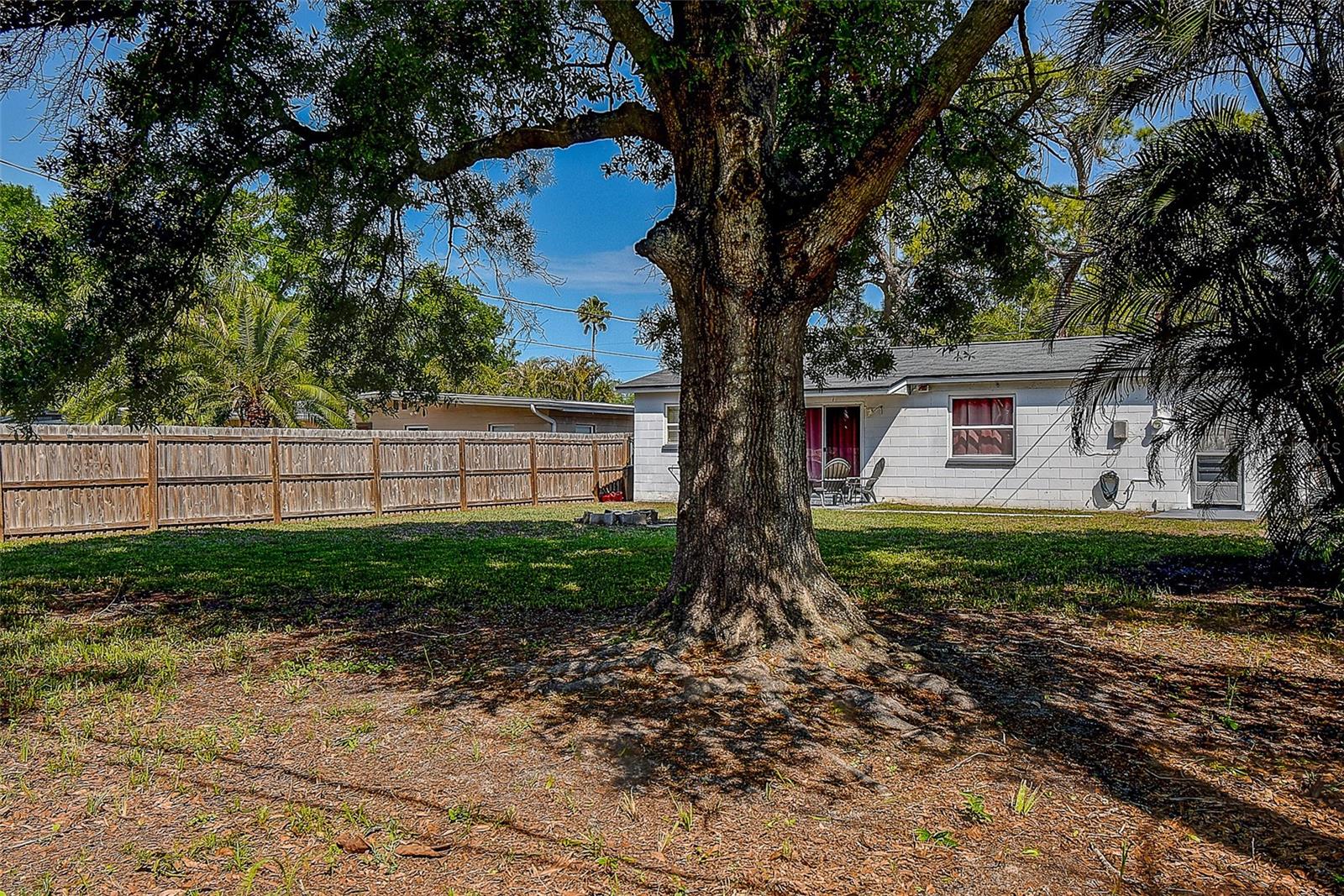 7834 42ND AVE N, ST PETERSBURG, FL — photo 29