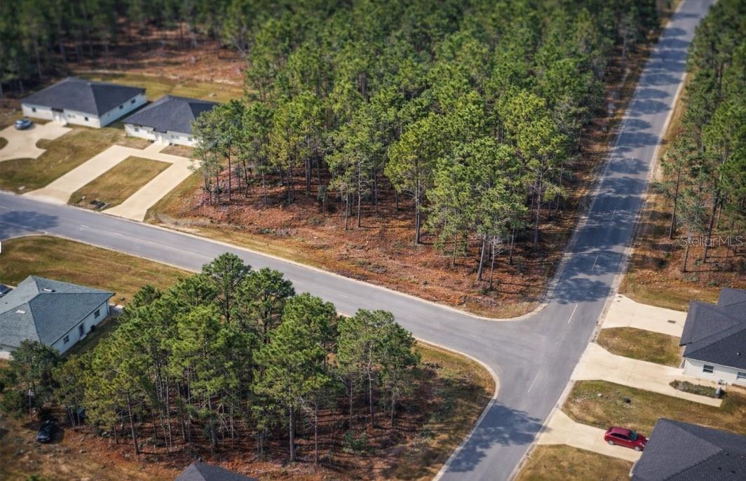 9536 N CAMEL DR, DUNNELLON, FL — photo 2