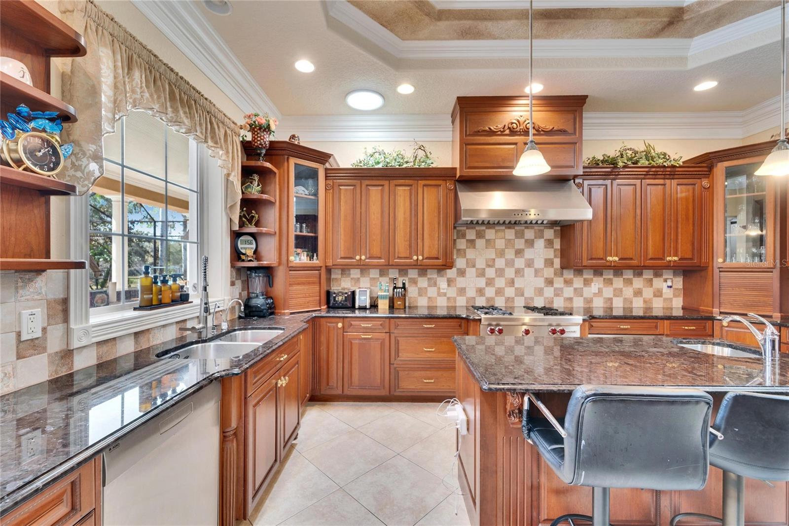 8510 KENTUCKY DERBY DR, ODESSA, FL — photo 11