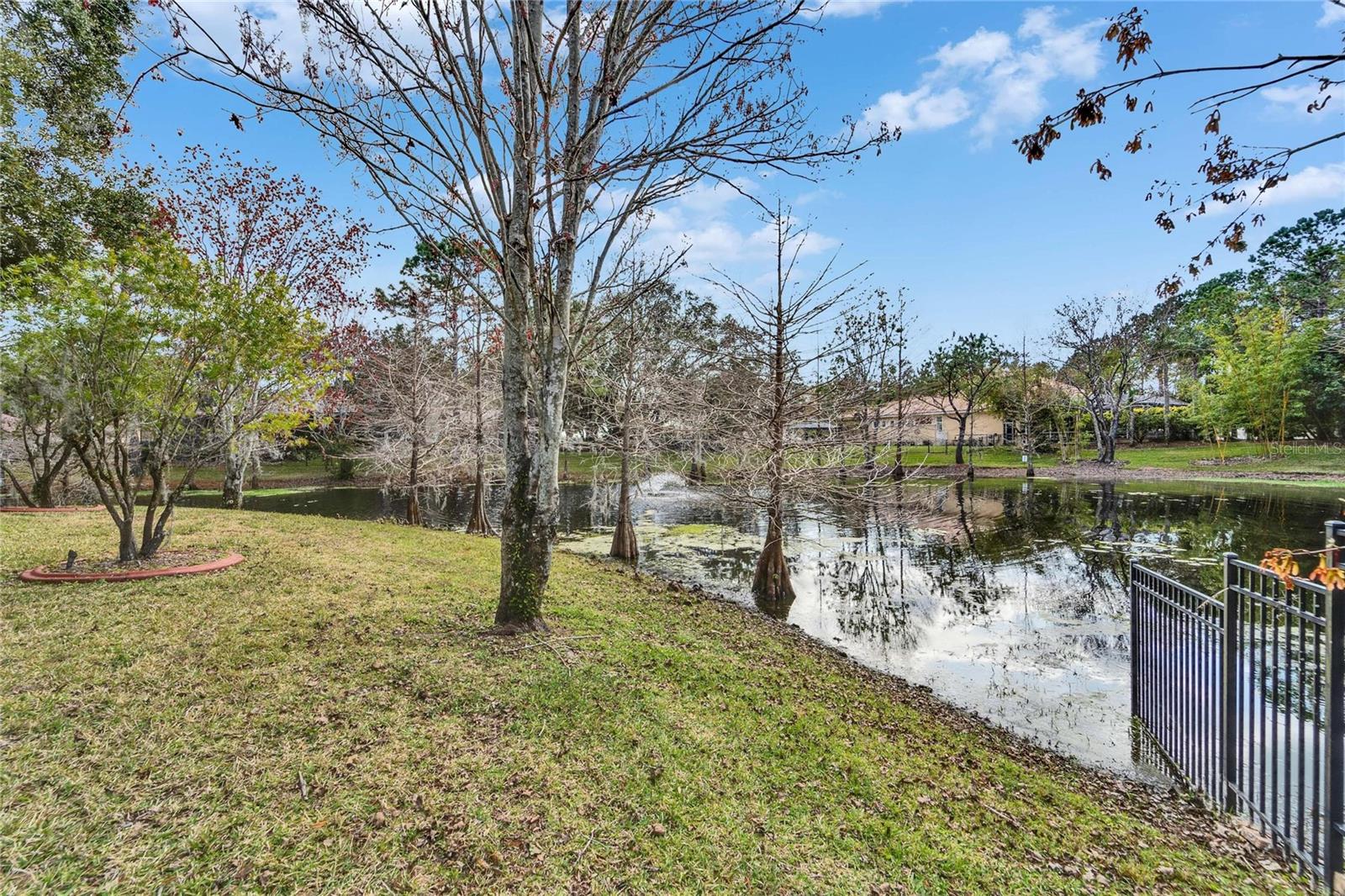 8510 KENTUCKY DERBY DR, ODESSA, FL — photo 17