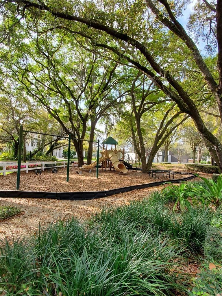 8510 KENTUCKY DERBY DR, ODESSA, FL — photo 32