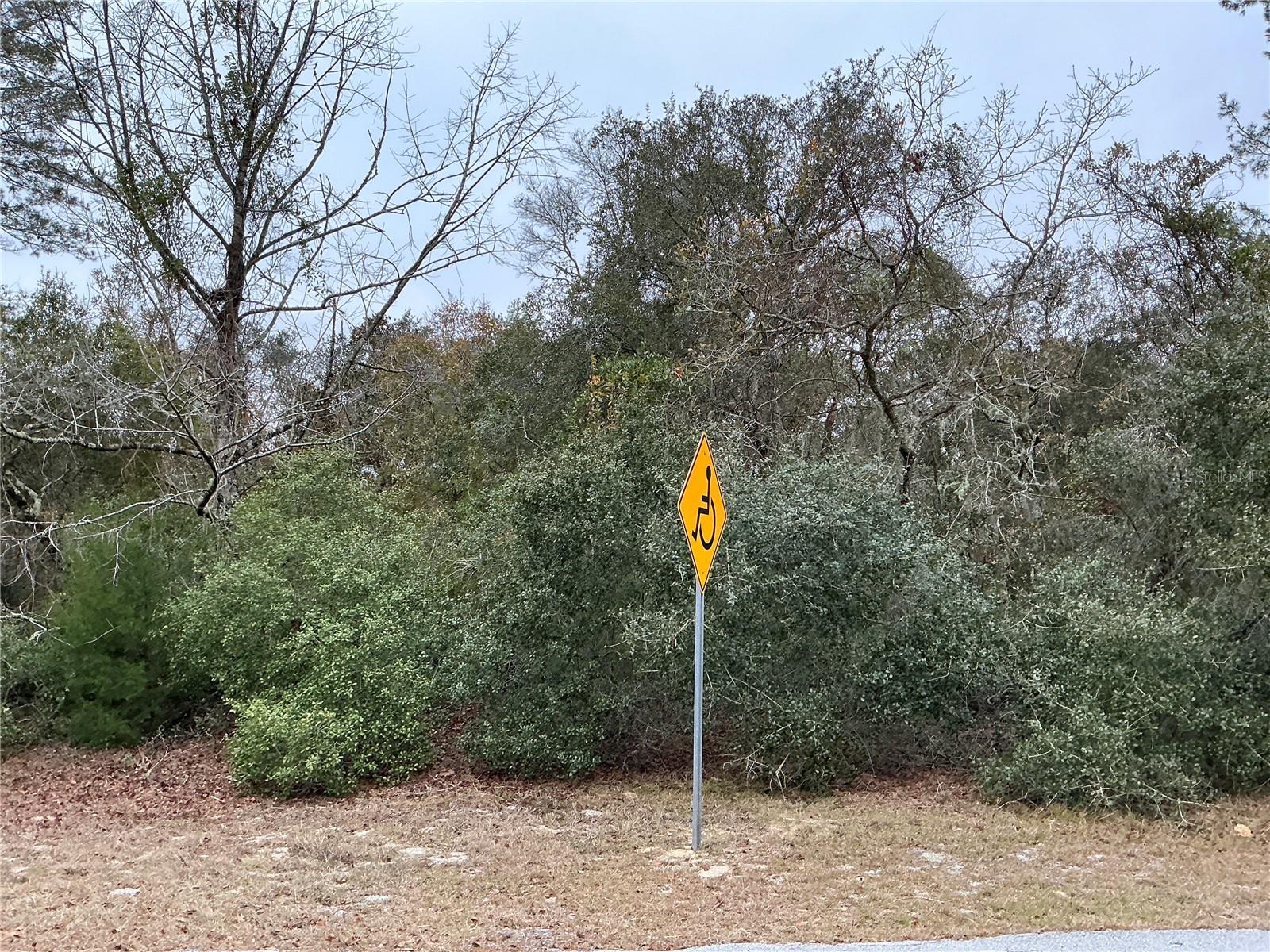 SW 137TH LOOP, OCALA, FL