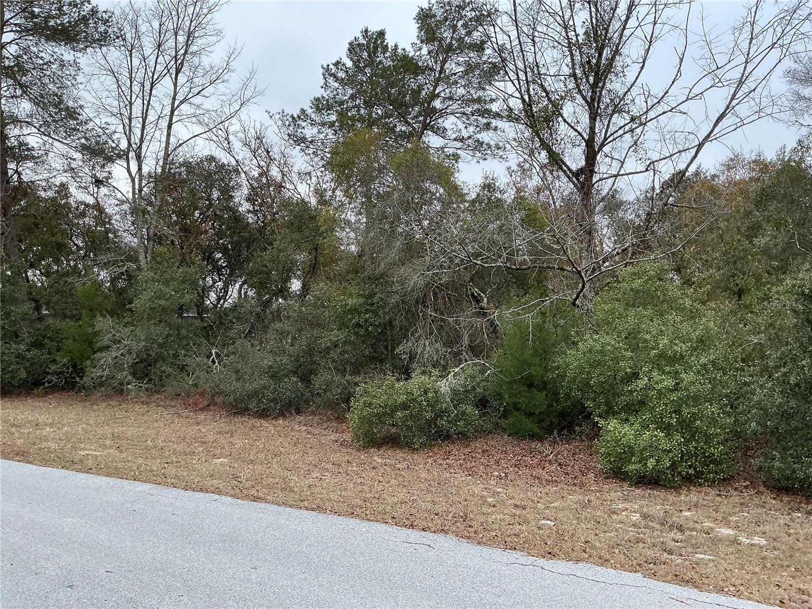 SW 137TH LOOP, OCALA, FL — photo 3