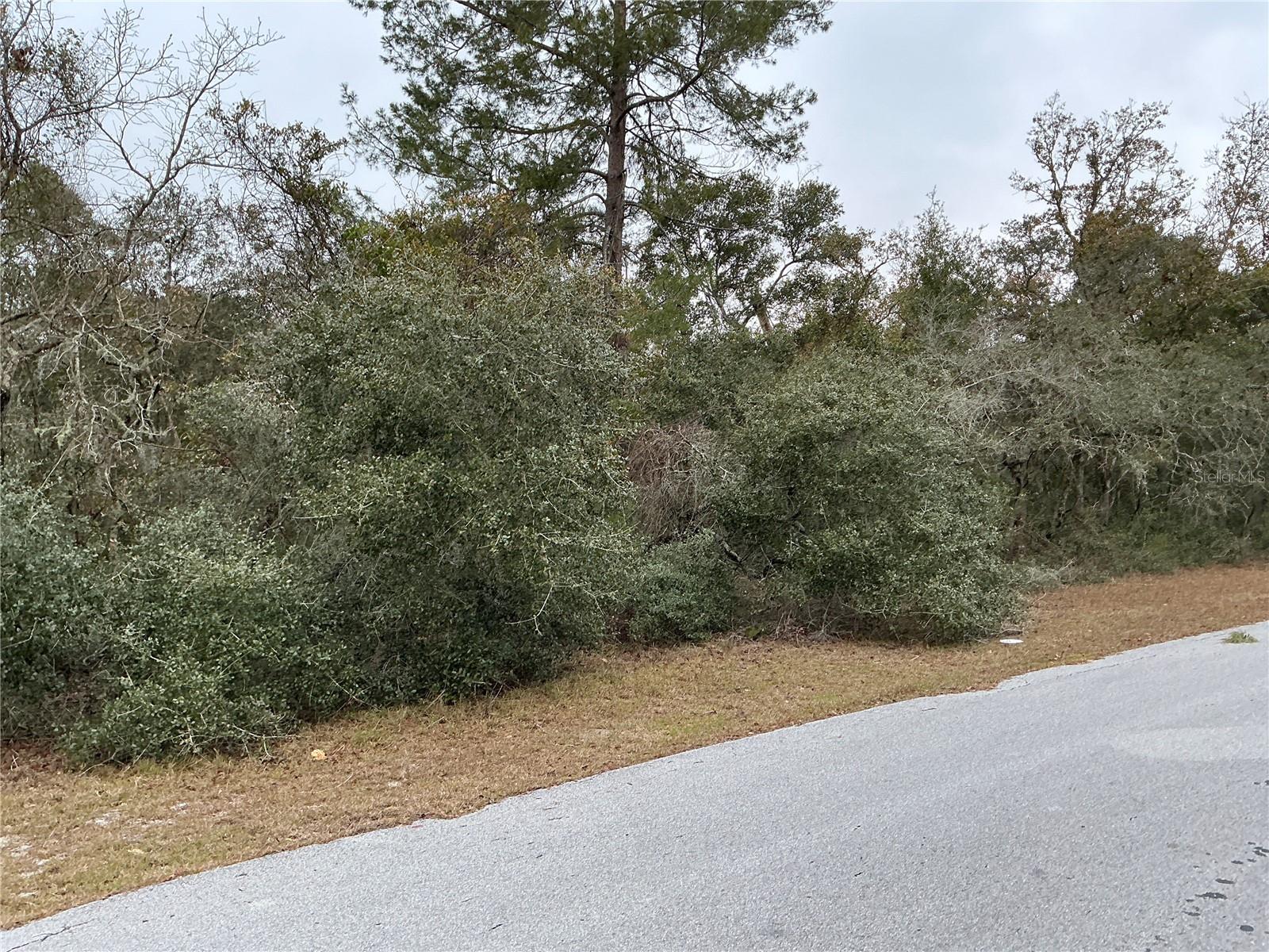 SW 137TH LOOP, OCALA, FL — photo 4