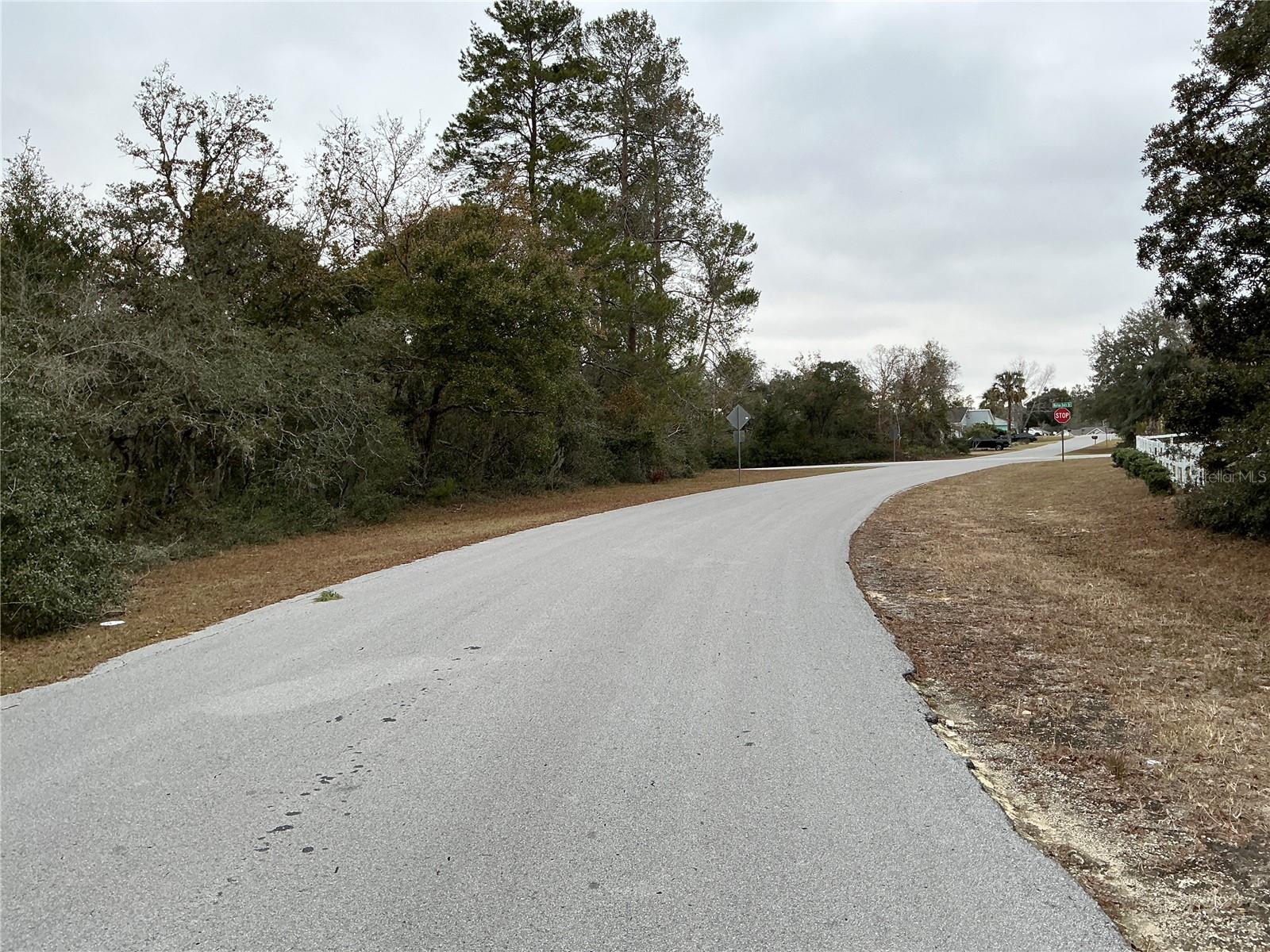 SW 137TH LOOP, OCALA, FL — photo 5