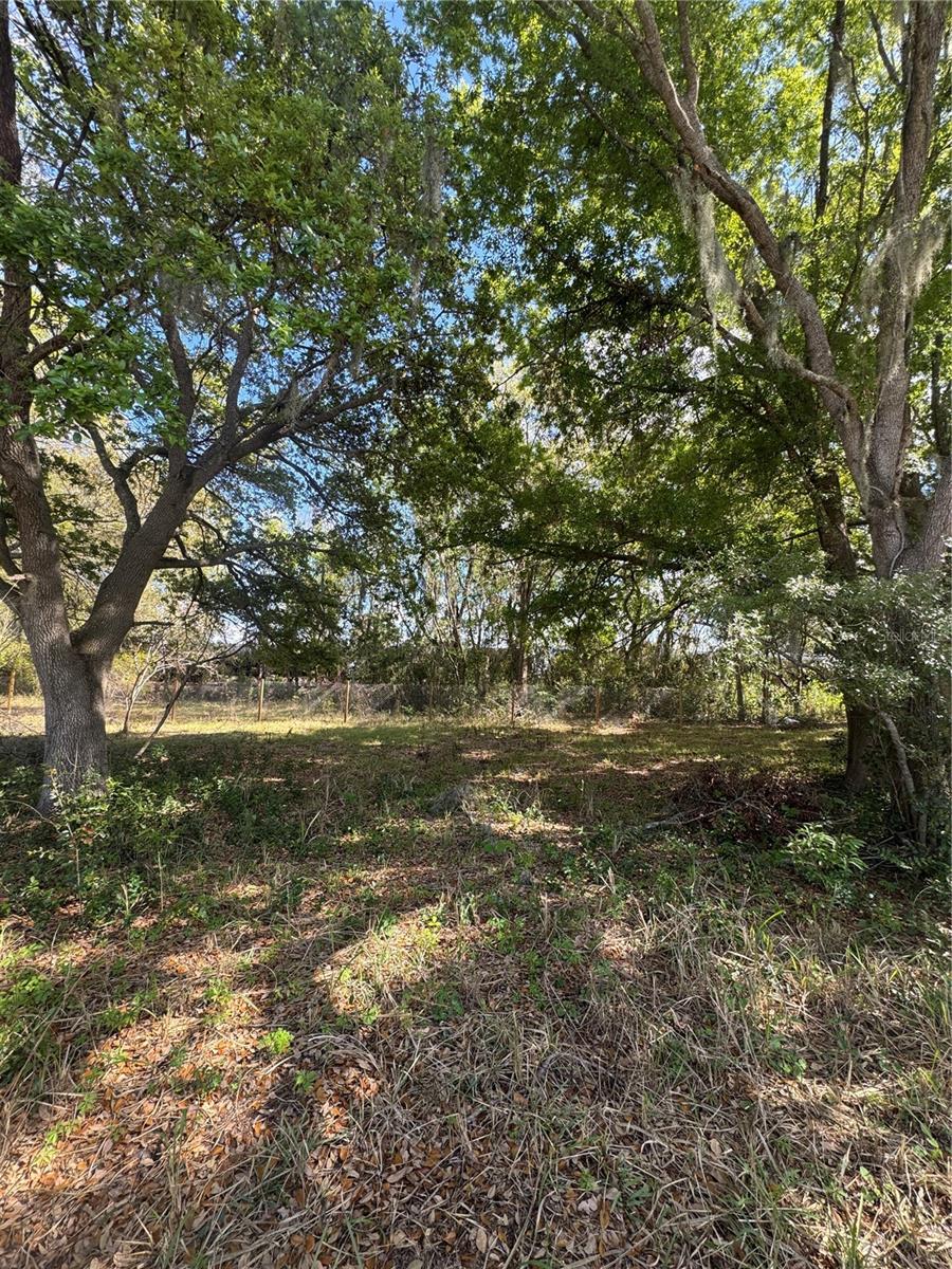 0 DENMARK ST, BARTOW, FL — photo 3