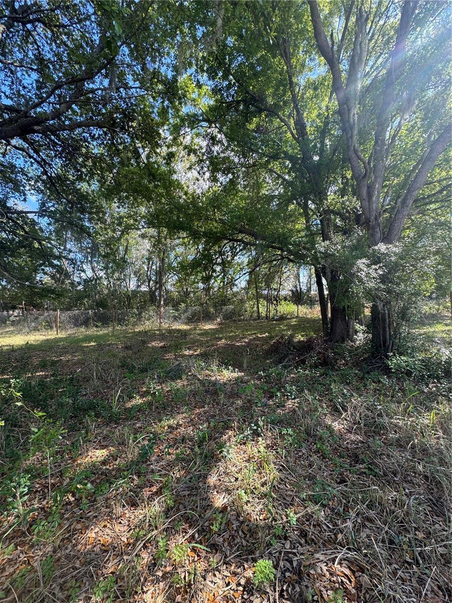 0 DENMARK ST, BARTOW, FL — photo 4