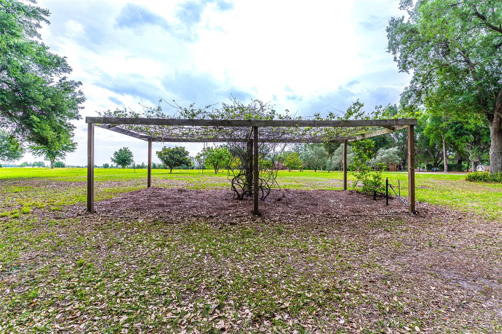 6850 HUNT RD, GROVELAND, FL — photo 161