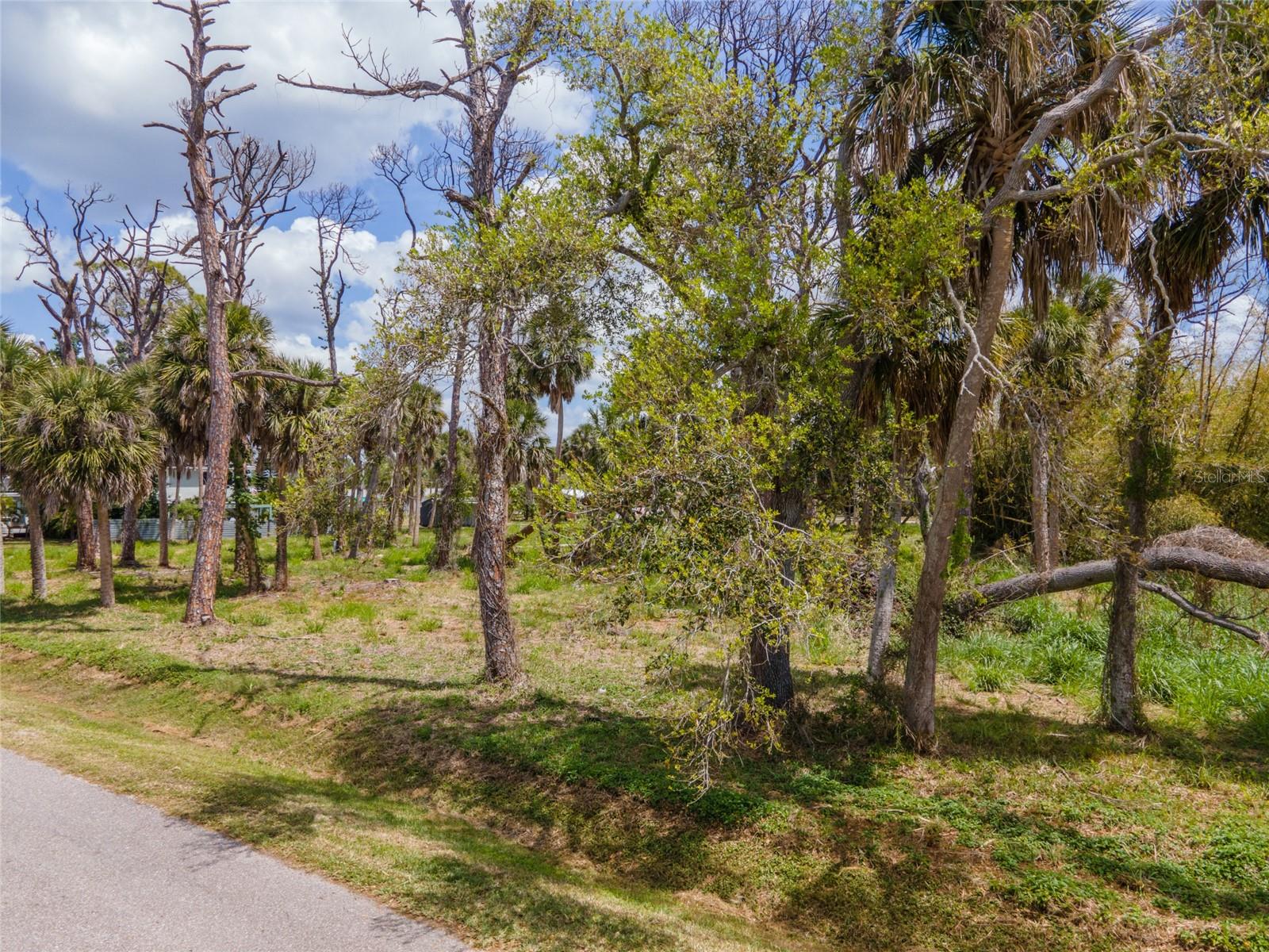 W COWLES ST, ENGLEWOOD, FL — photo 6