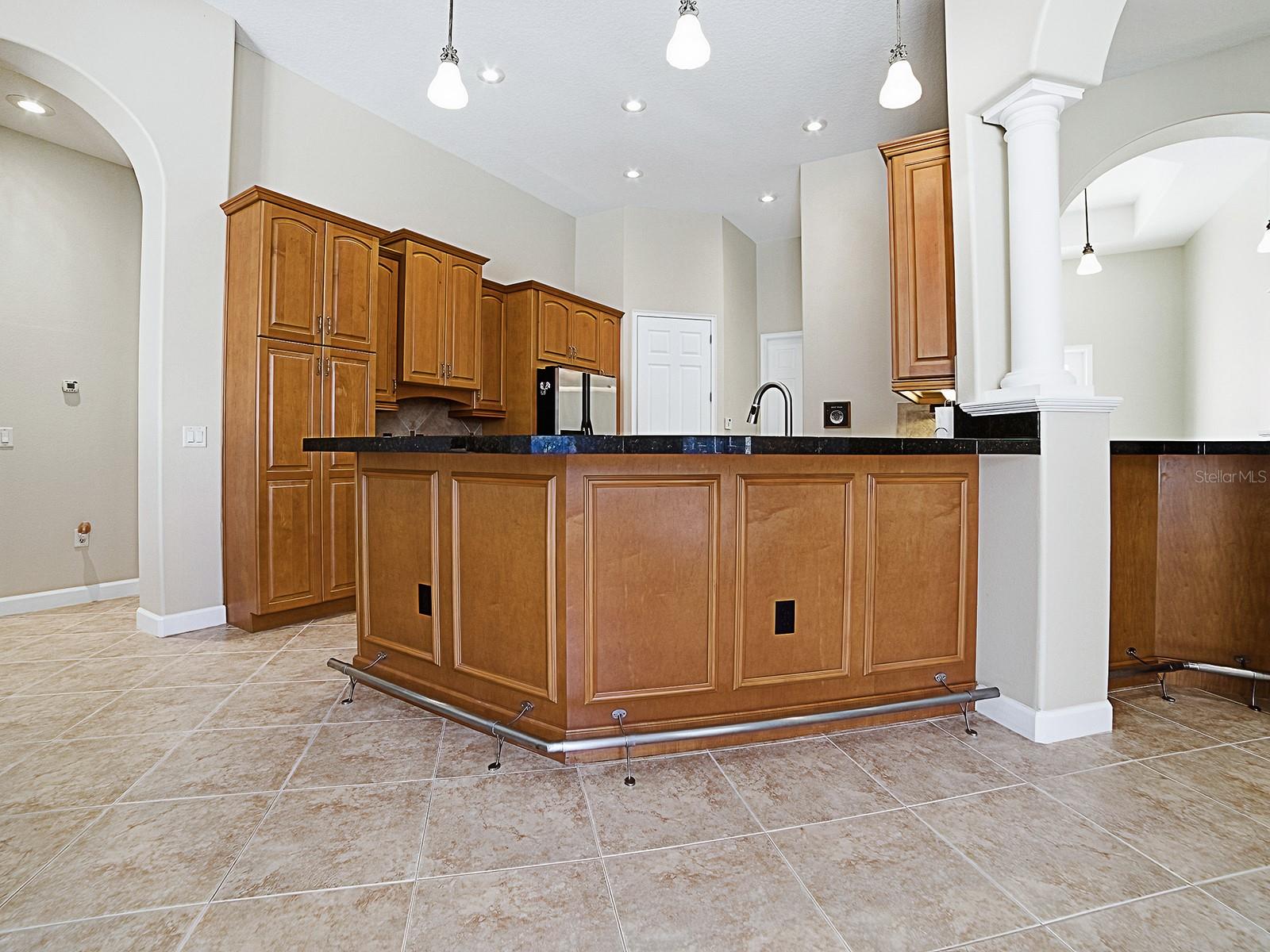 9926 SANTA BARBARA CT, HOWEY IN THE HILLS, FL — photo 24