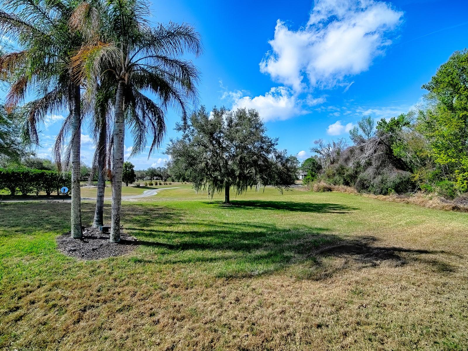 9926 SANTA BARBARA CT, HOWEY IN THE HILLS, FL — photo 106