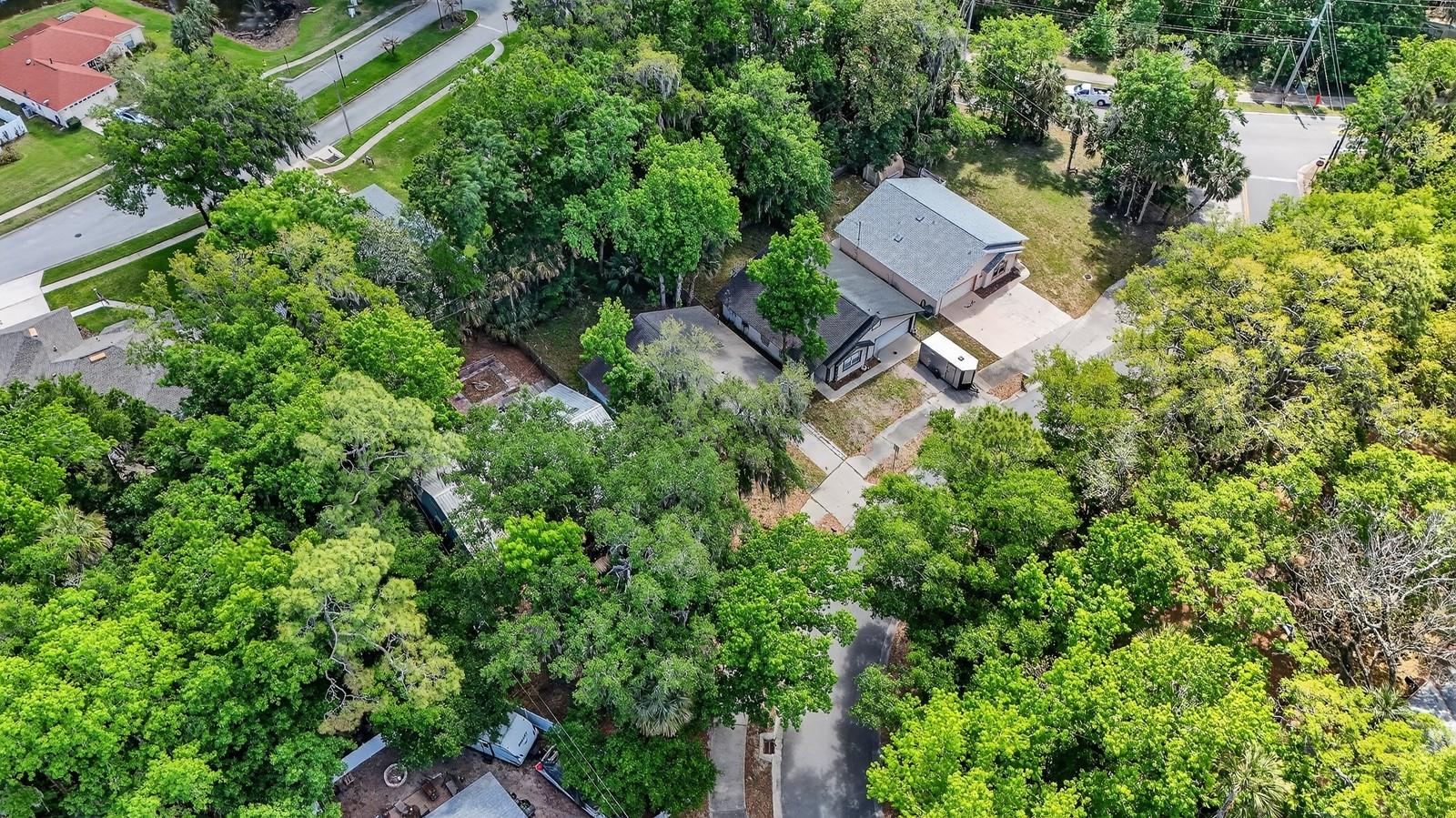 3639 OLD HAMMOCK RD, PORT ORANGE, FL — photo 45