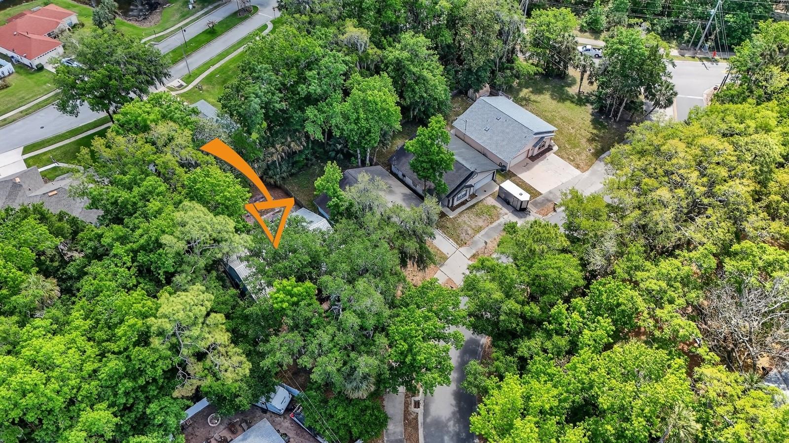 3639 OLD HAMMOCK RD, PORT ORANGE, FL — photo 47