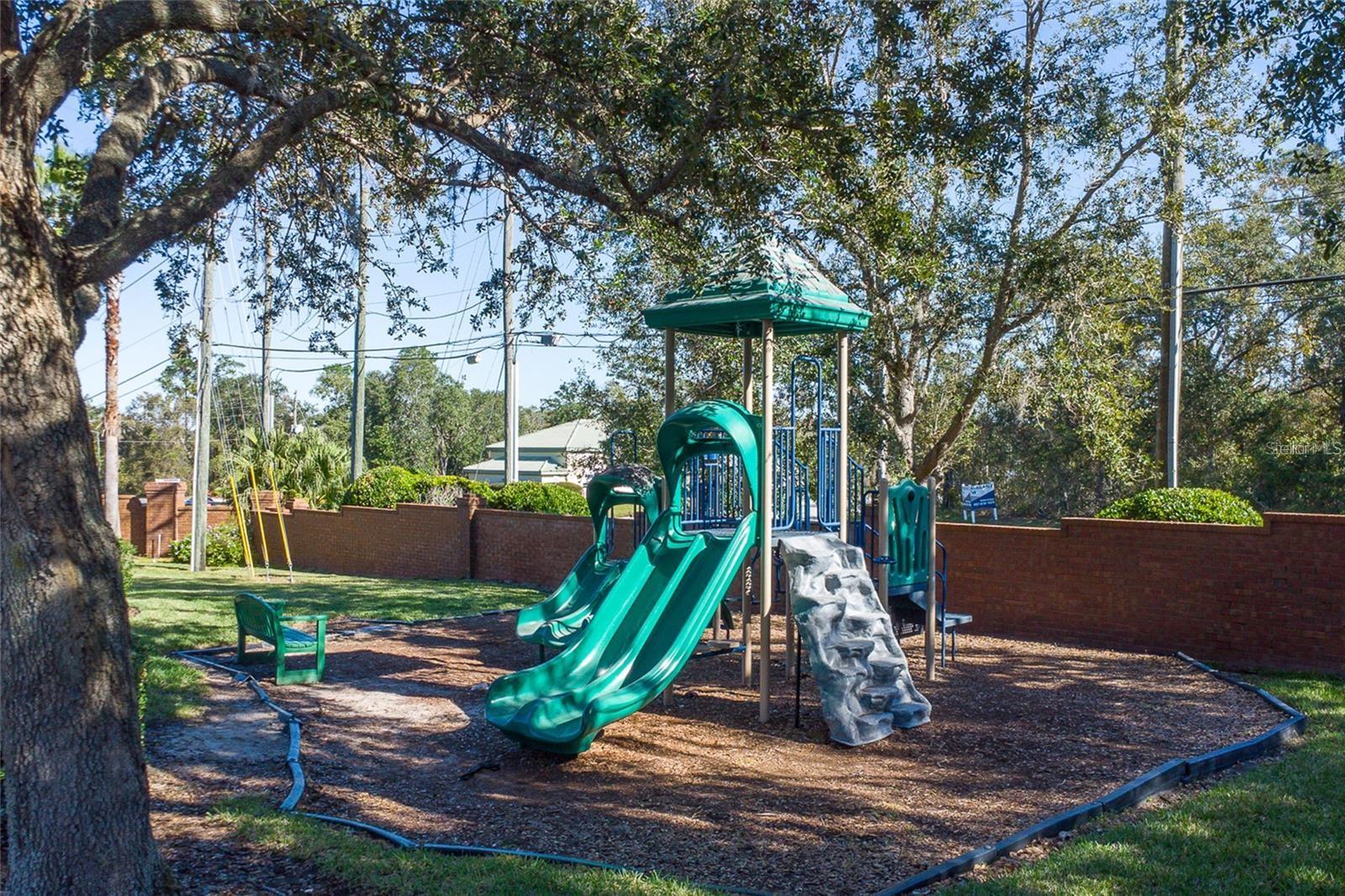 1338 GLENLEIGH DR, OCOEE, FL — photo 34