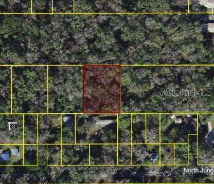 9436 E SLEEPY OAK CT, INVERNESS, FL