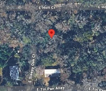 9436 E SLEEPY OAK CT, INVERNESS, FL — photo 2