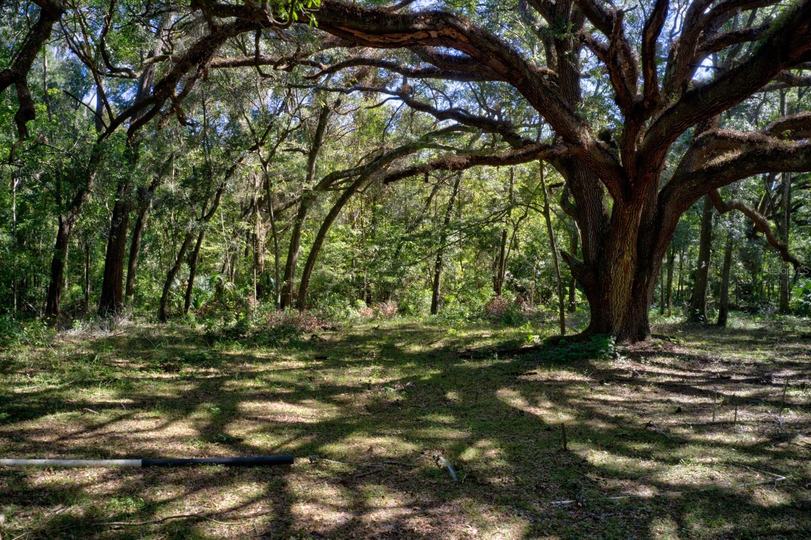 5005 SW 63RD BLVD, GAINESVILLE, FL — photo 2