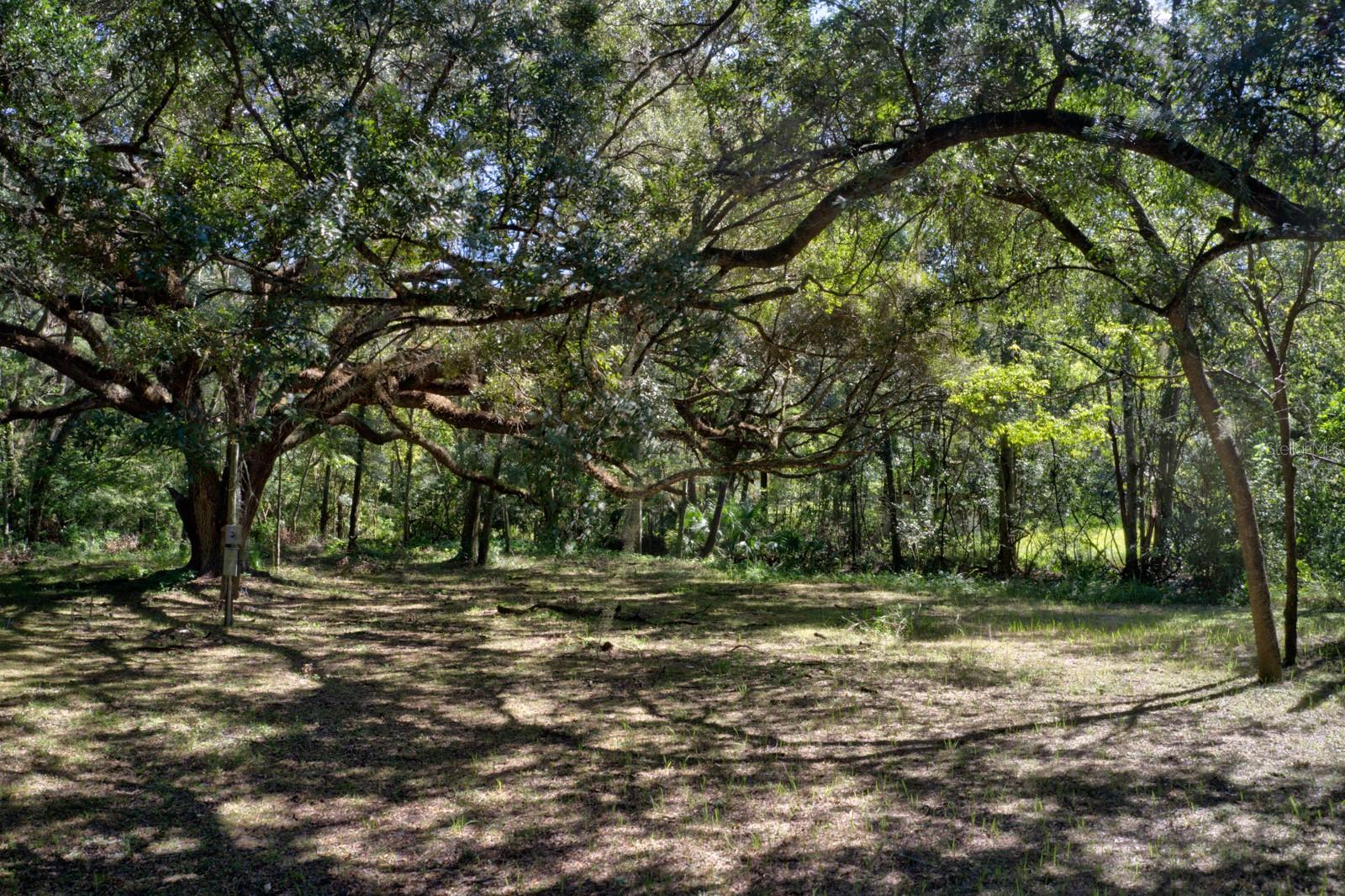5005 SW 63RD BLVD, GAINESVILLE, FL — photo 4