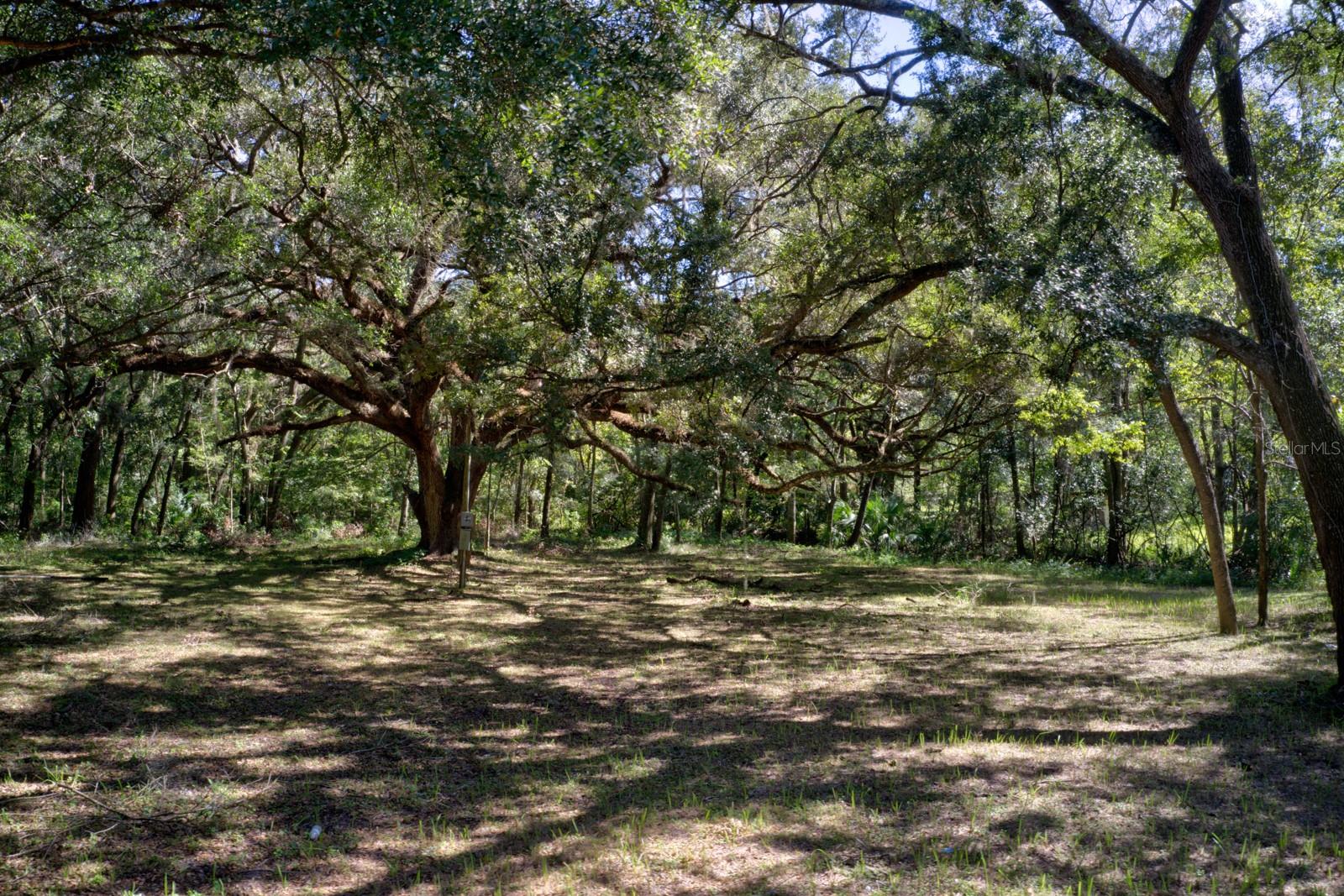 5005 SW 63RD BLVD, GAINESVILLE, FL — photo 5