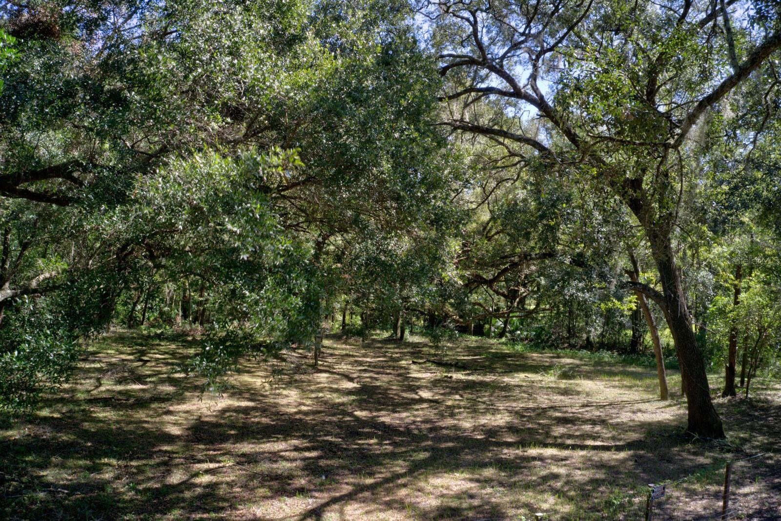 5005 SW 63RD BLVD, GAINESVILLE, FL — photo 6