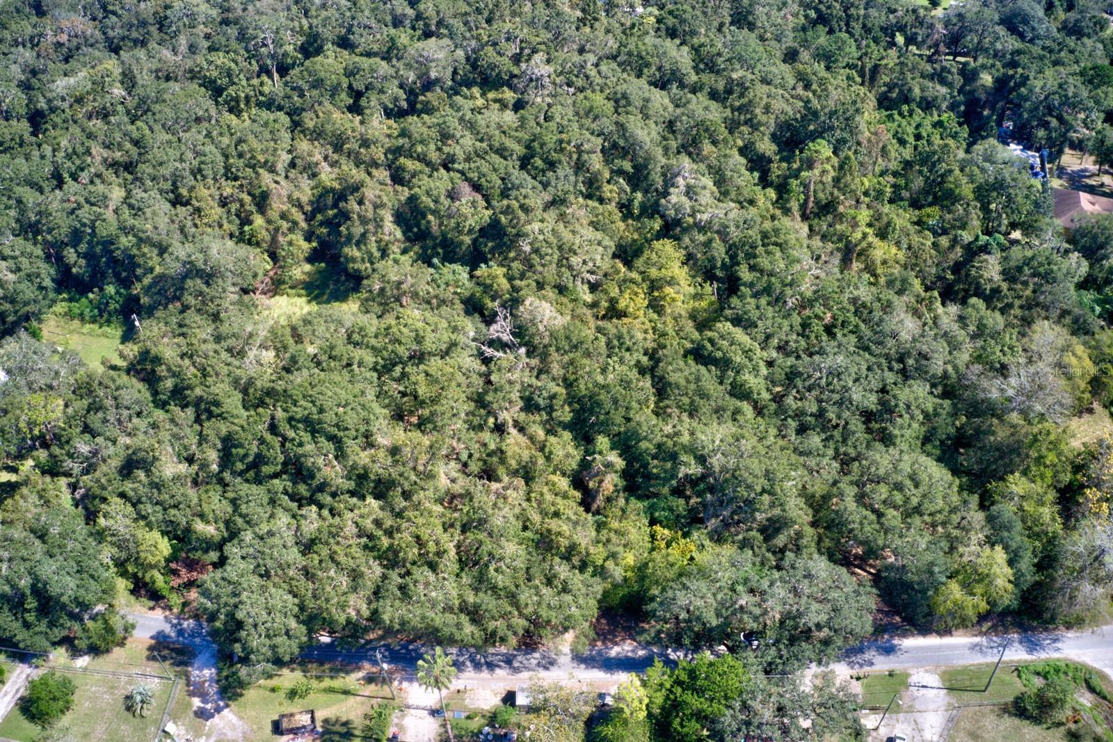 5005 SW 63RD BLVD, GAINESVILLE, FL — photo 9