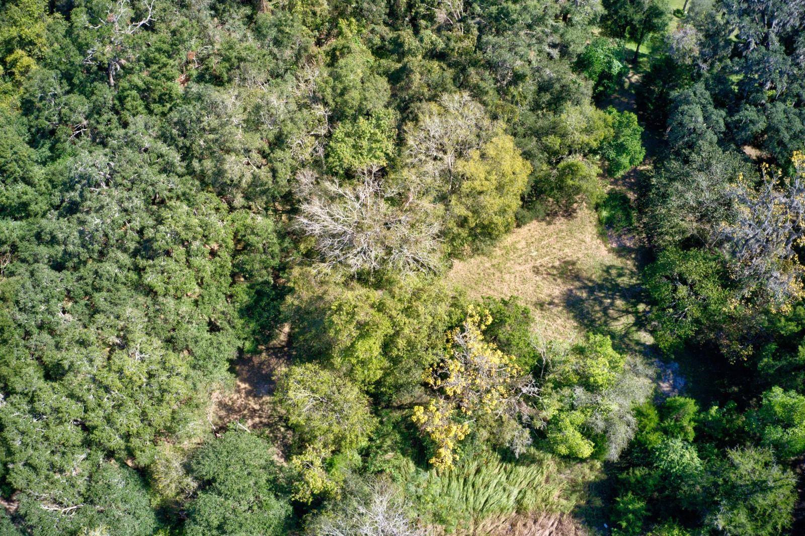 5005 SW 63RD BLVD, GAINESVILLE, FL — photo 10
