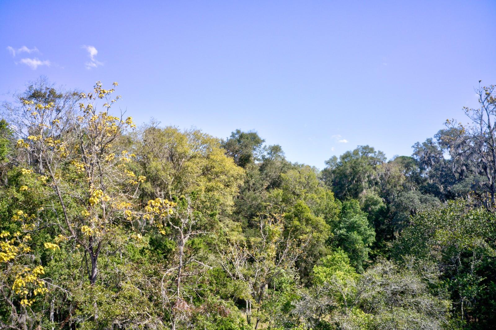 5005 SW 63RD BLVD, GAINESVILLE, FL — photo 11