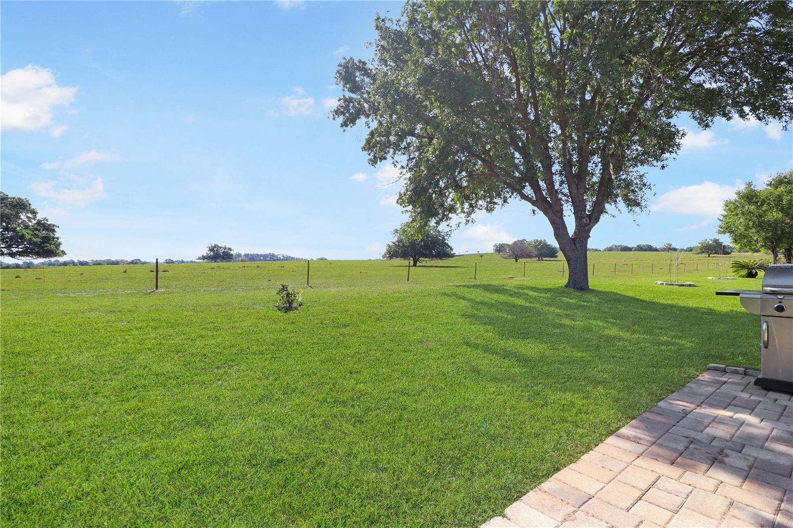 20846 QUEEN ALEXANDRA DR, LEESBURG, FL — photo 51