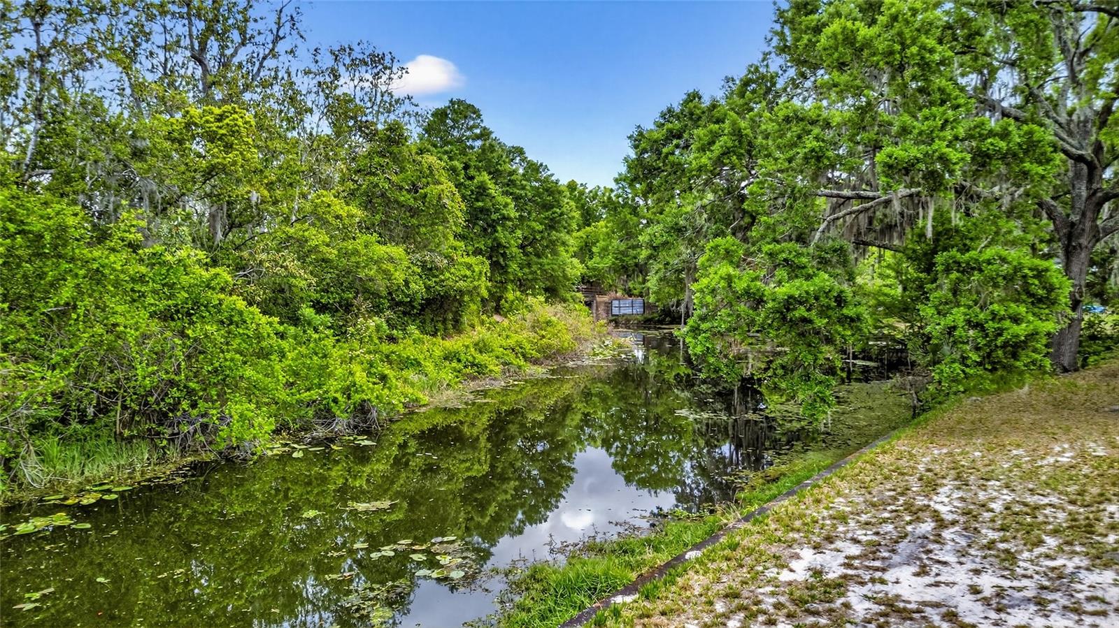34618 S HAINES CREEK RD, LEESBURG, FL — photo 32