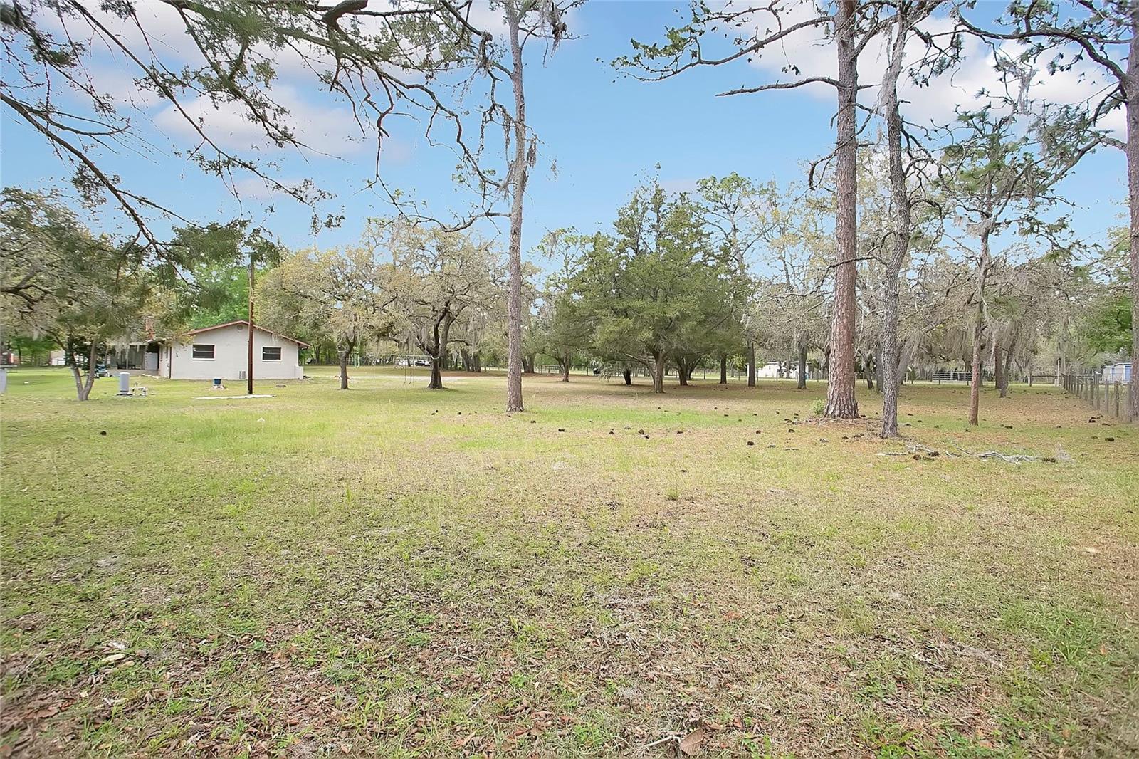 3116 E BUCK, INVERNESS, FL — photo 19
