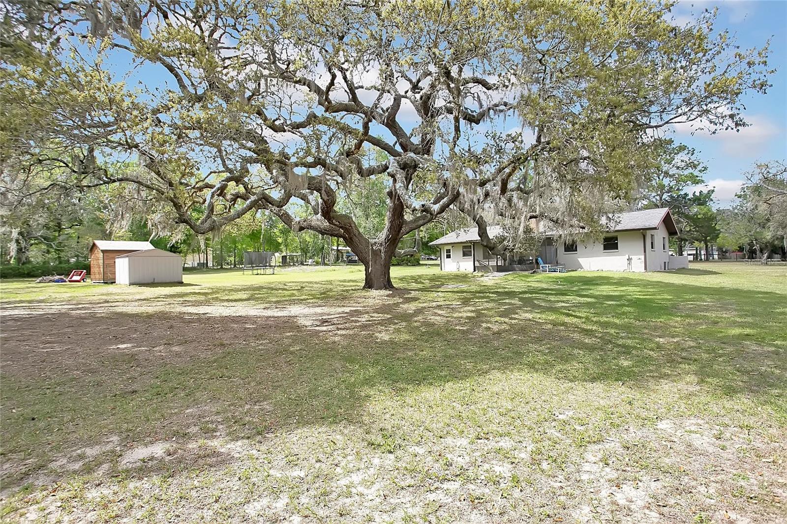 3116 E BUCK, INVERNESS, FL — photo 21