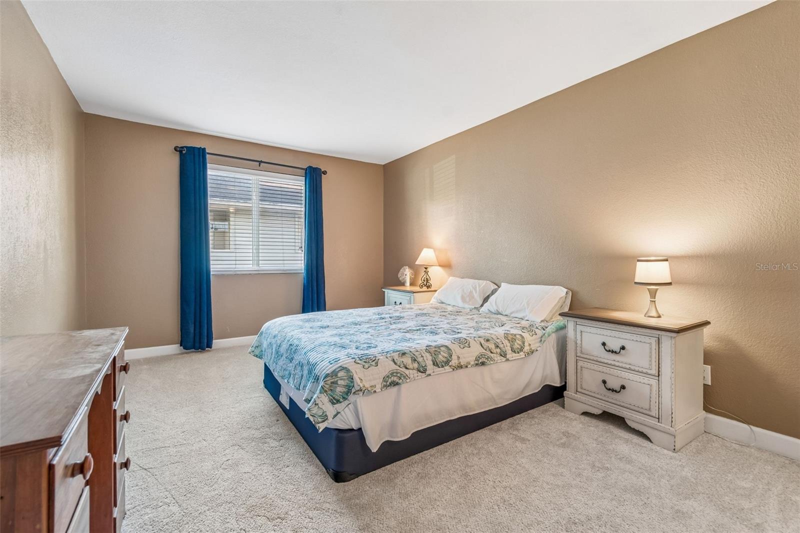229 RED MAPLE PL, BRANDON, FL — photo 12