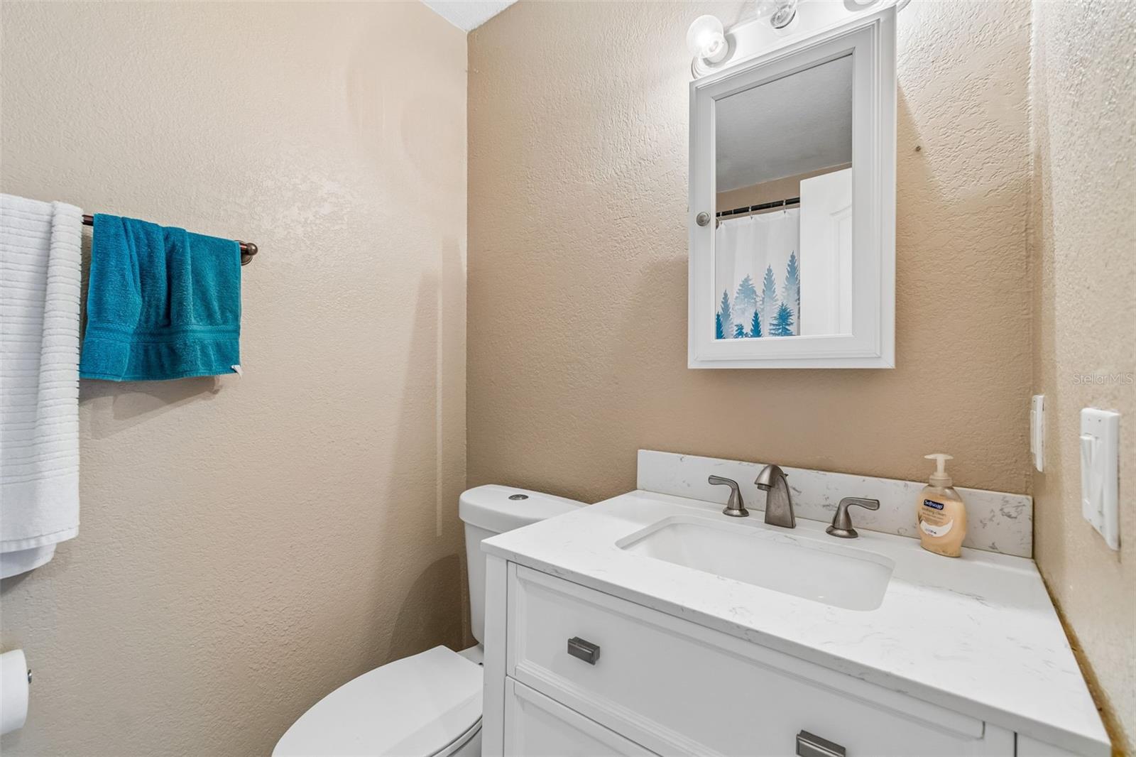 229 RED MAPLE PL, BRANDON, FL — photo 16