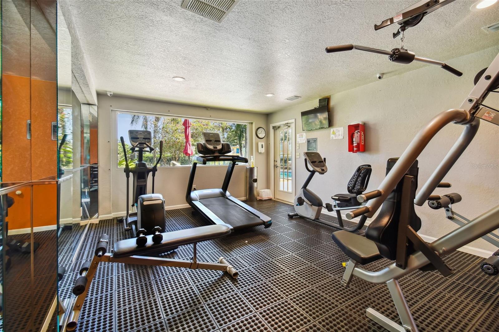 229 RED MAPLE PL, BRANDON, FL — photo 39