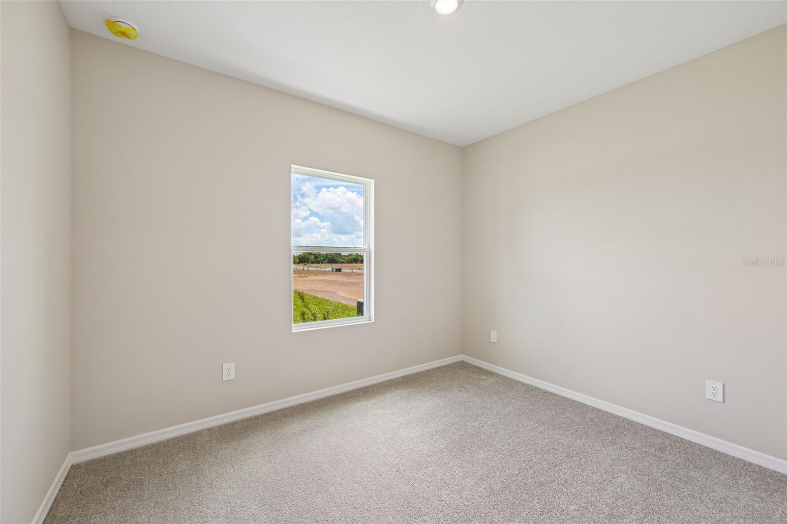 5919 FRESH FLORA DRIVE, WIMAUMA, FL — photo 14