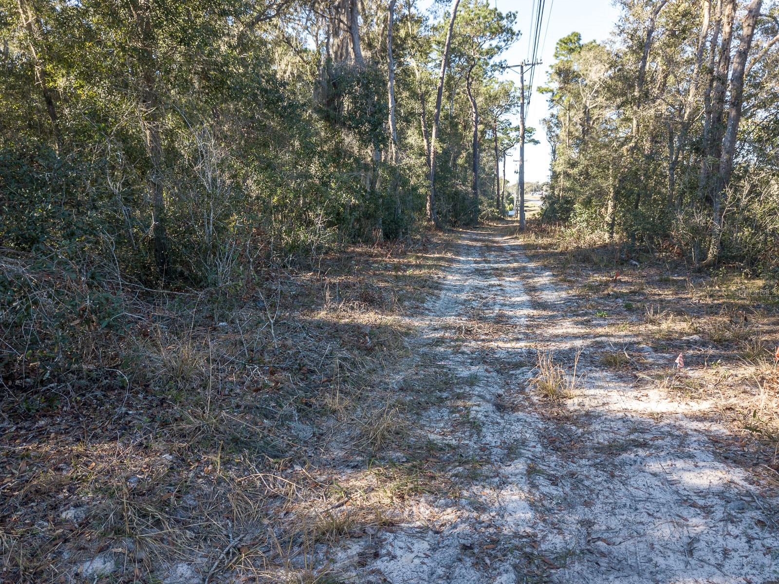 N US HWY 17, DELAND, FL — photo 14
