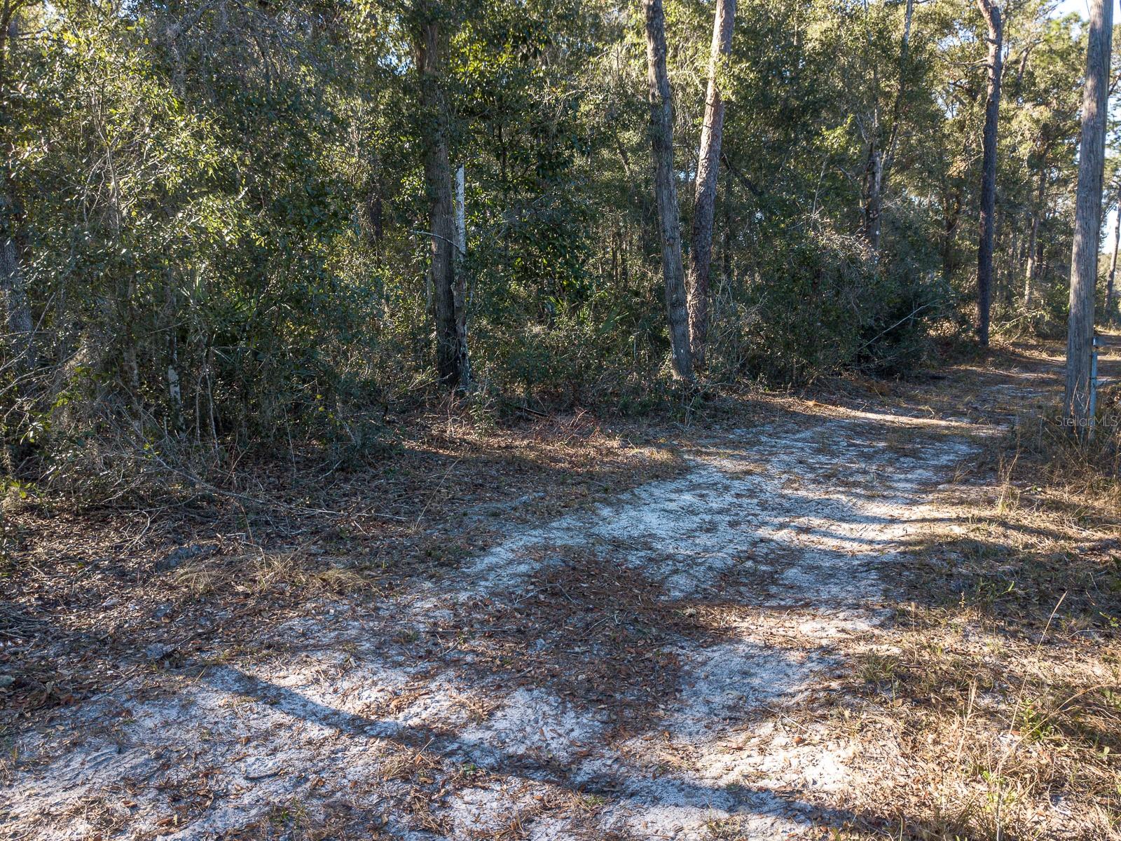N US HWY 17, DELAND, FL — photo 15