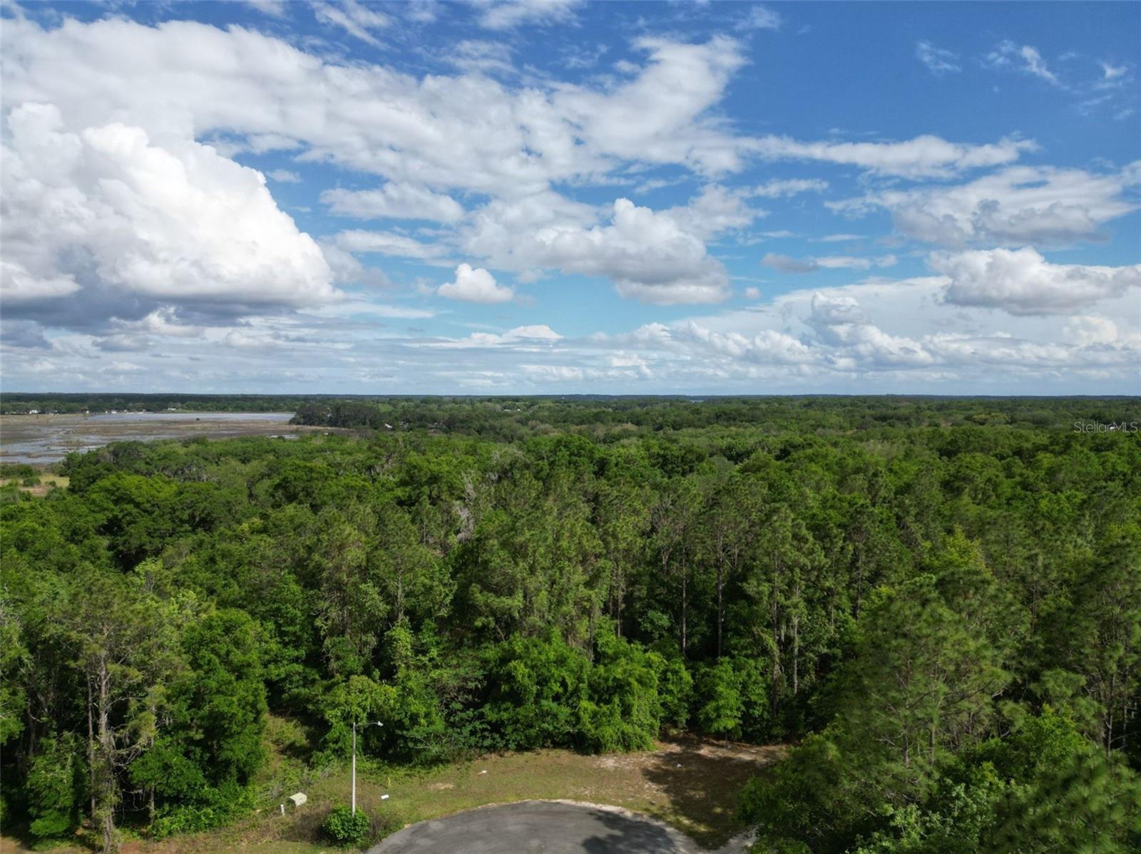 0000 SE 119 ST, BELLEVIEW, FL — photo 2