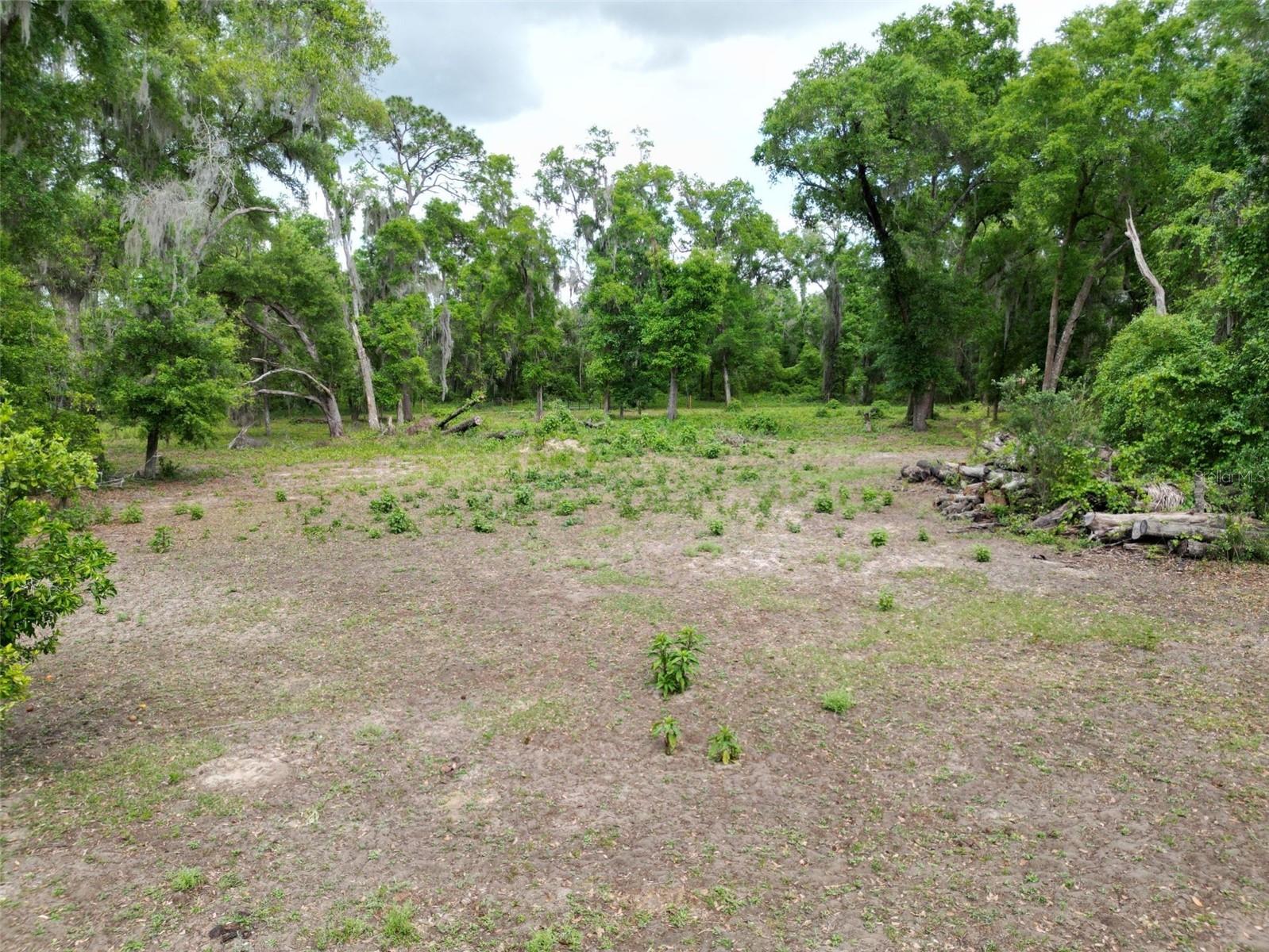 0000 SE 119 ST, BELLEVIEW, FL — photo 3